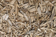 biomass boilers Wadesmill